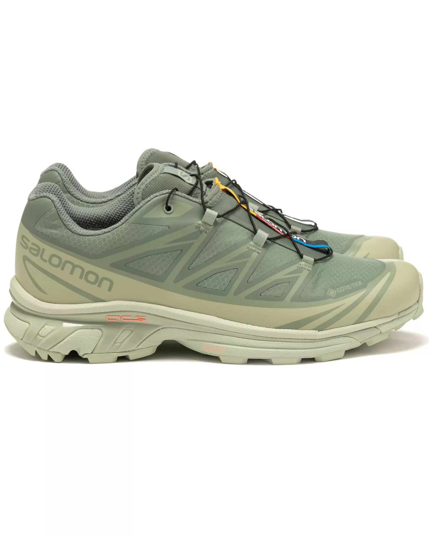 Xt-6 Gtx Desert Sage/Lily Pad/Laurel*Salomon Advanced Shop